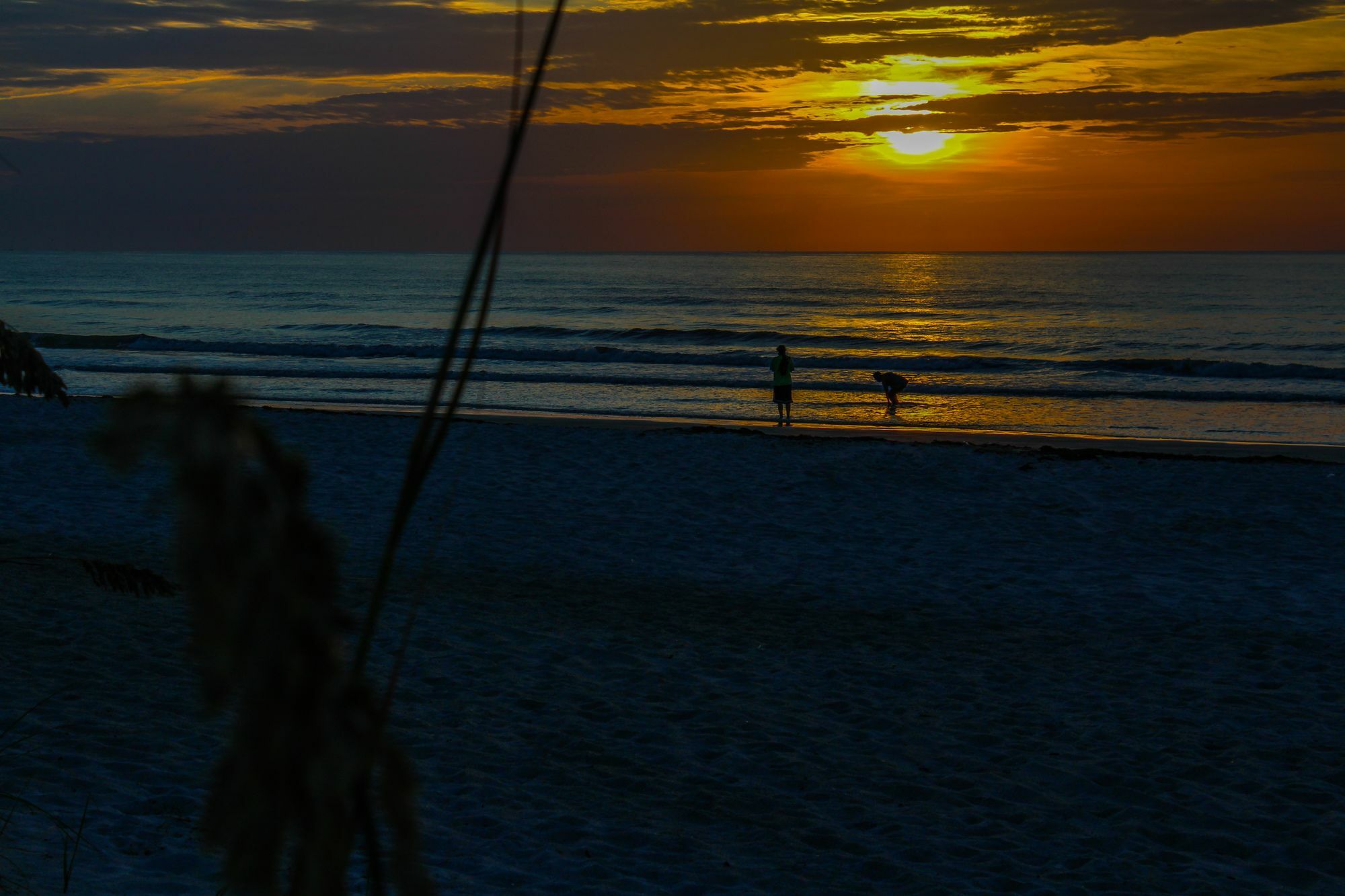 The Resort On Cocoa Beach Ngoại thất bức ảnh
